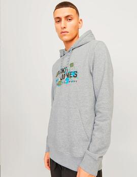 Sudadera Jack & Jones 'Outdoor' Capucha Gris Hombre