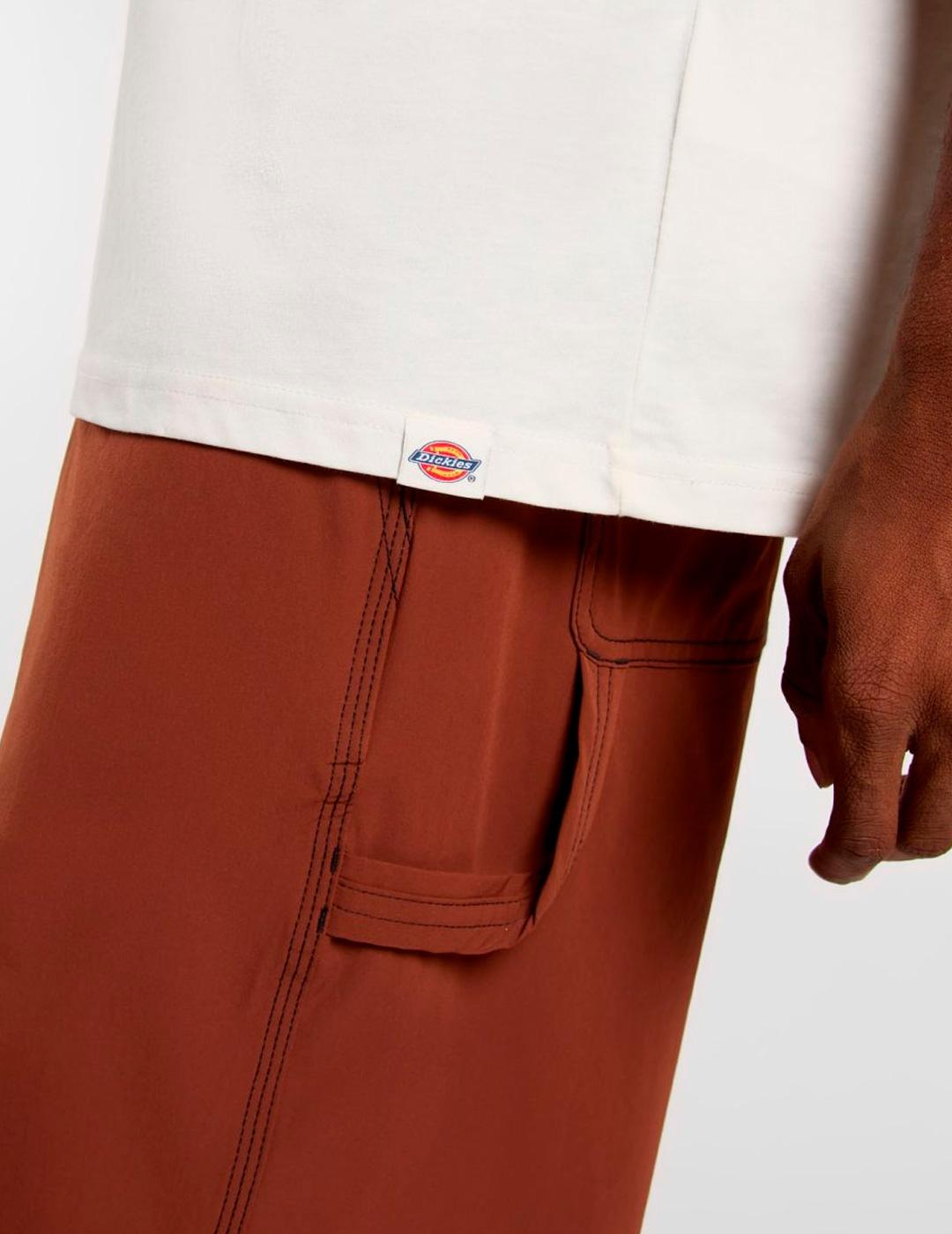 Camiseta Dickies LANDSCAPE Manga Corta Blanco Hombre