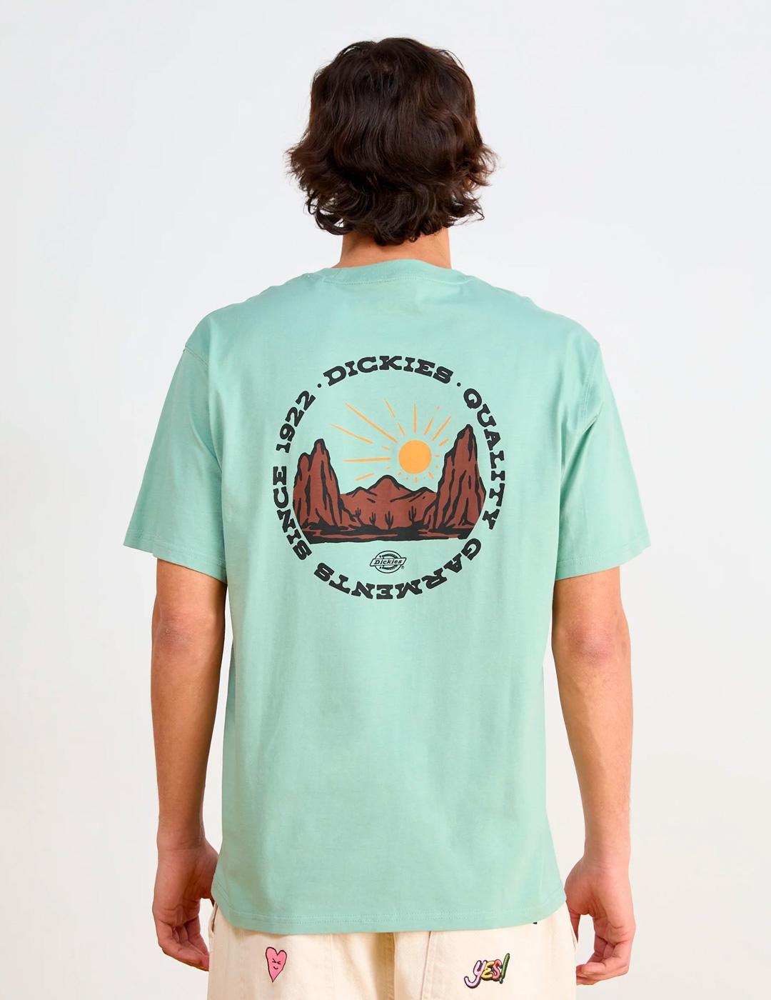 Camiseta Dickies Outdoor Manga Corta Turquesa Hombre