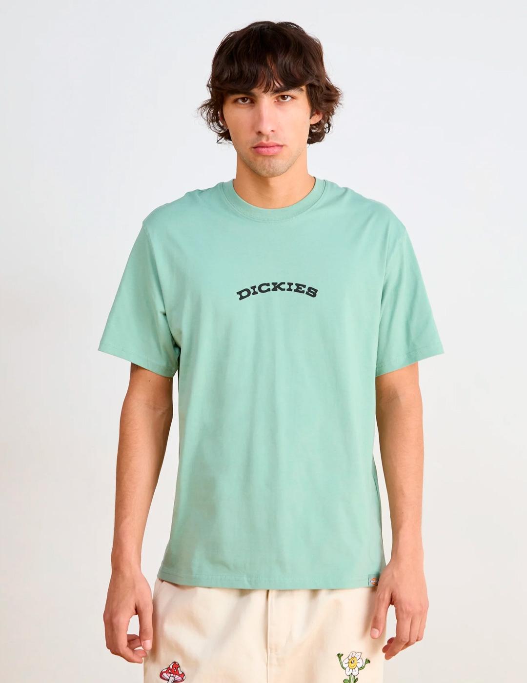 Camiseta Dickies Outdoor Manga Corta Turquesa Hombre