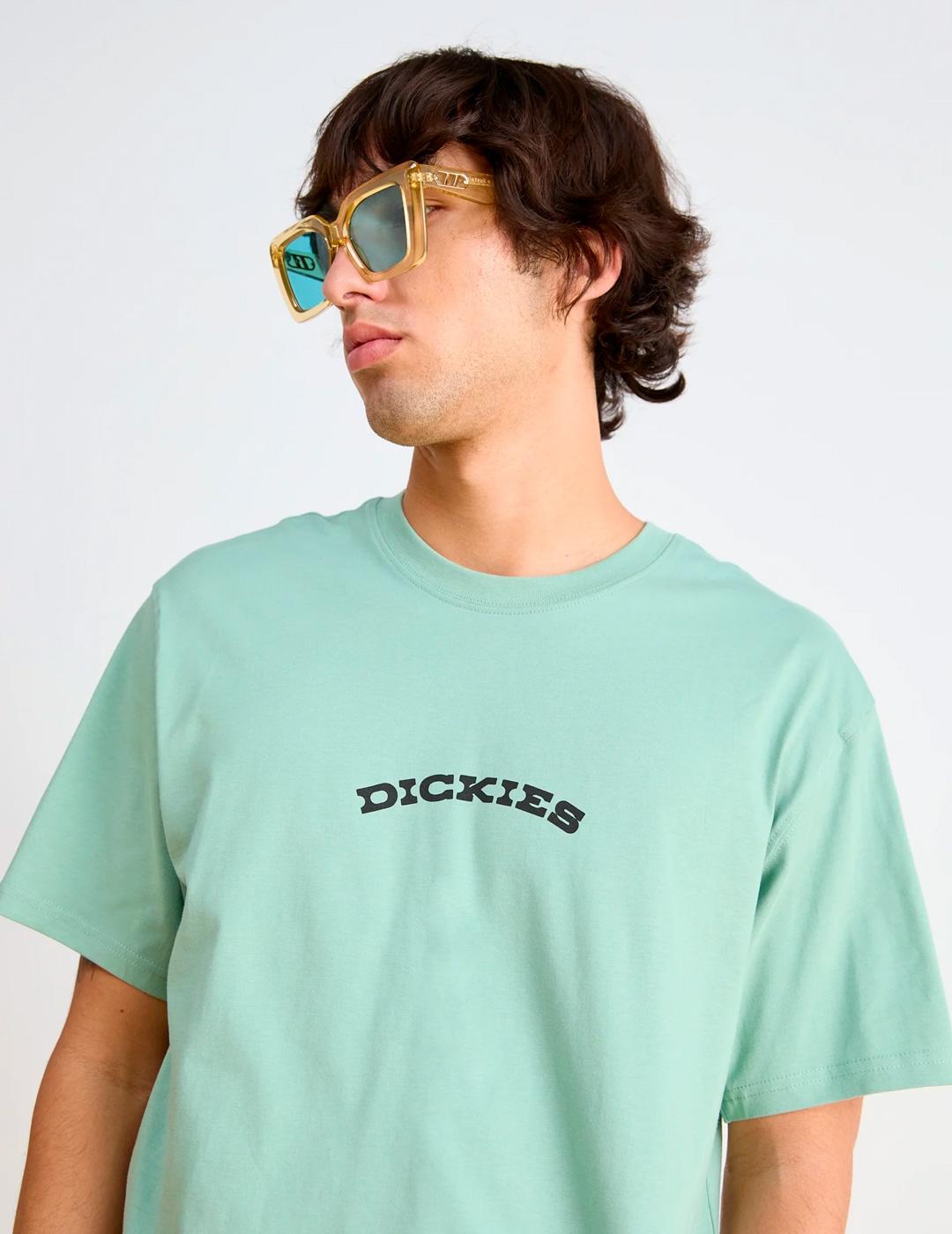 Camiseta Dickies Outdoor Manga Corta Turquesa Hombre