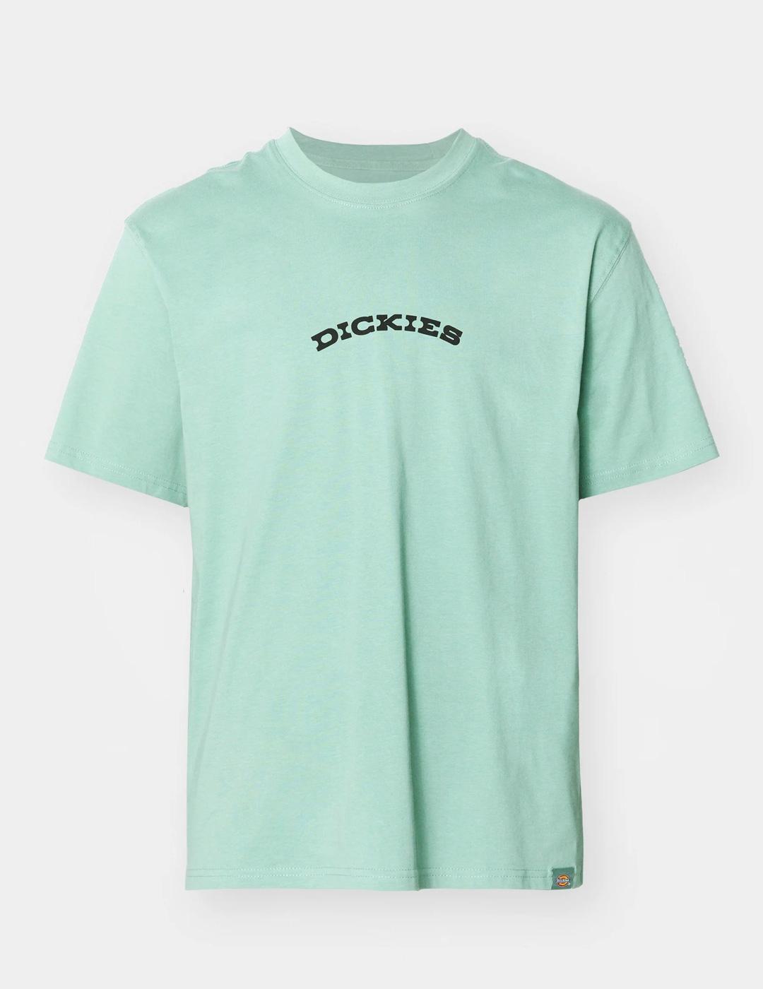 Camiseta Dickies Outdoor Manga Corta Turquesa Hombre