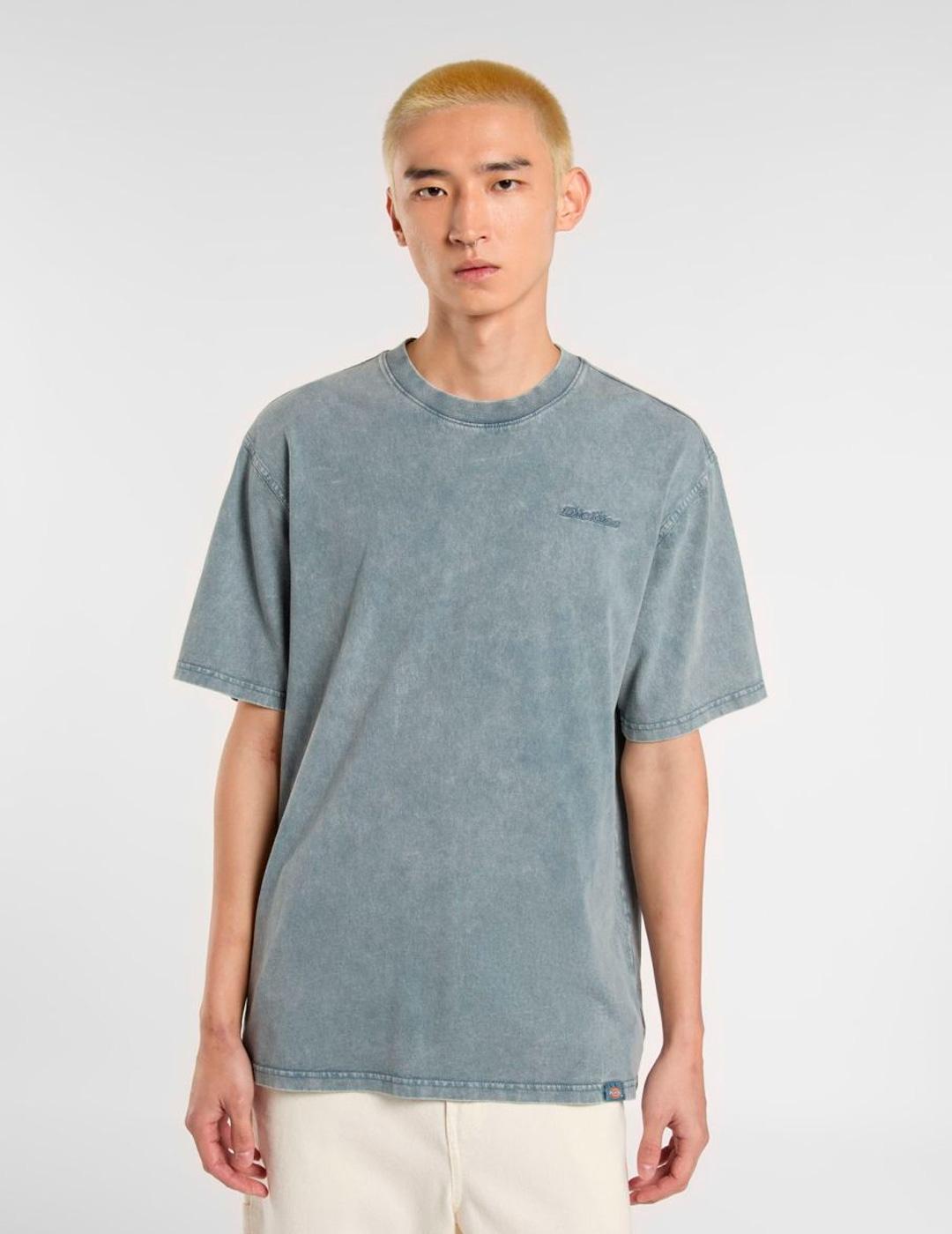Camiseta Dickies 'Plentywood' Manga Corta Gris Azul Hombre