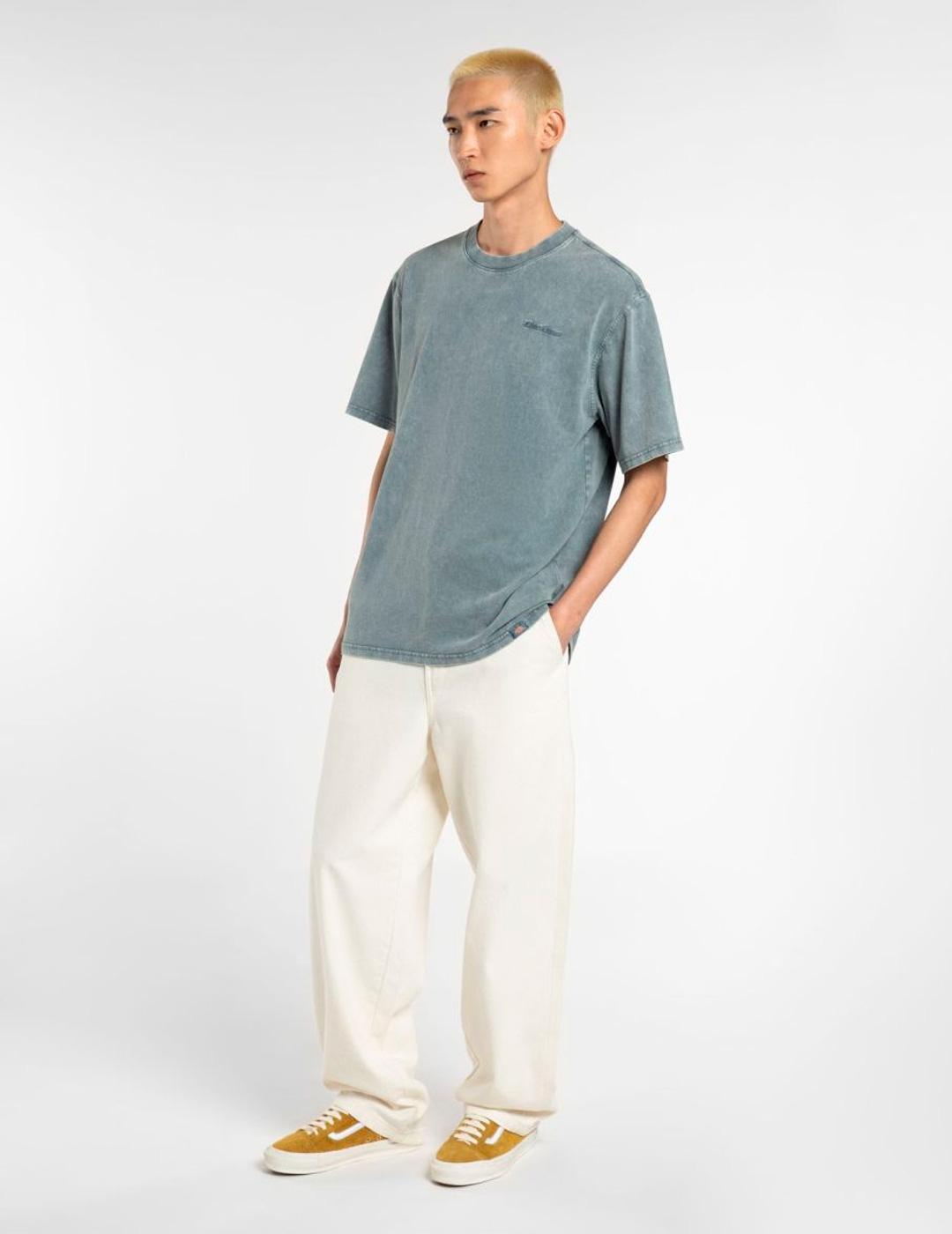 Camiseta Dickies 'Plentywood' Manga Corta Gris Azul Hombre