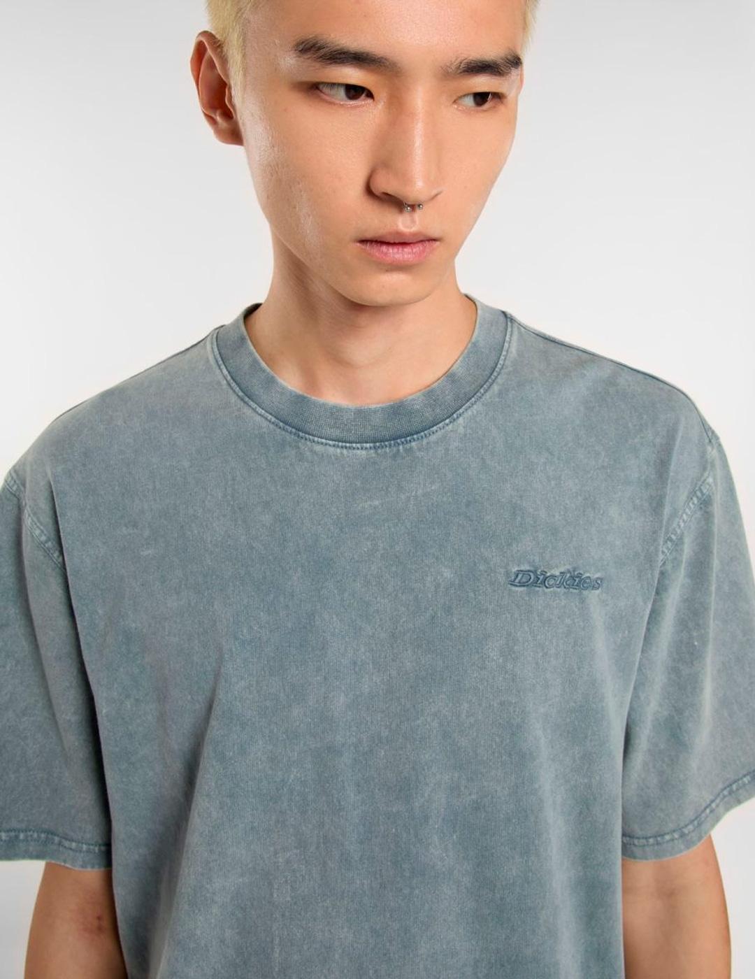 Camiseta Dickies 'Plentywood' Manga Corta Gris Azul Hombre