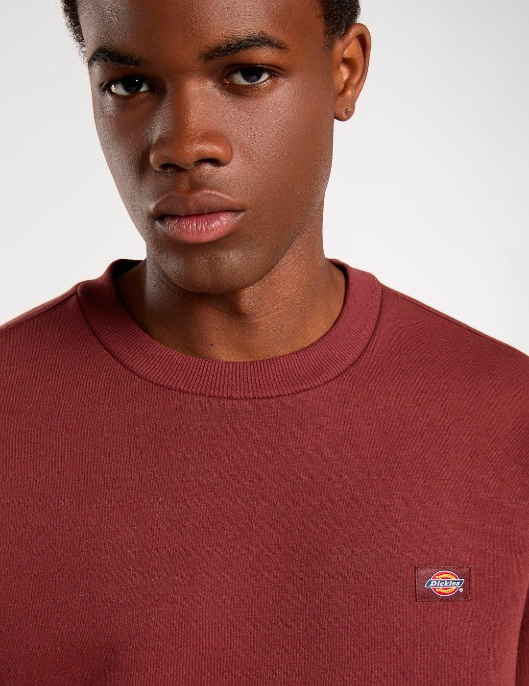 Sudadera Dickies MAPLETON granate para hombre