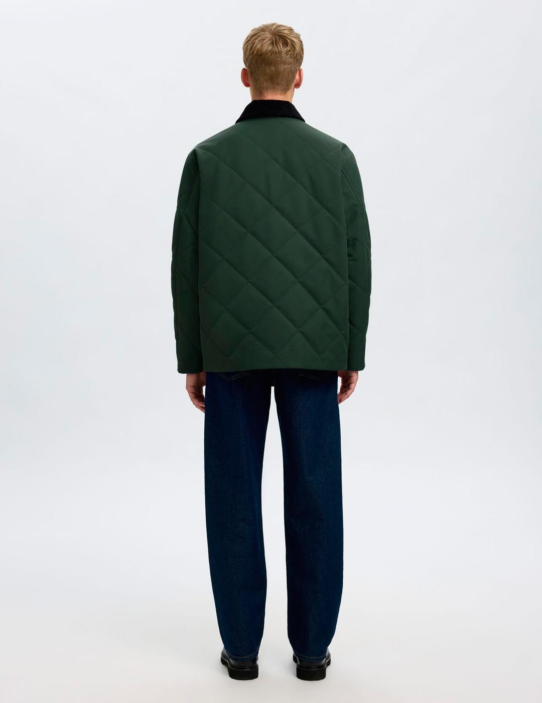 Chaqueta Selected CARLOS verde para hombre