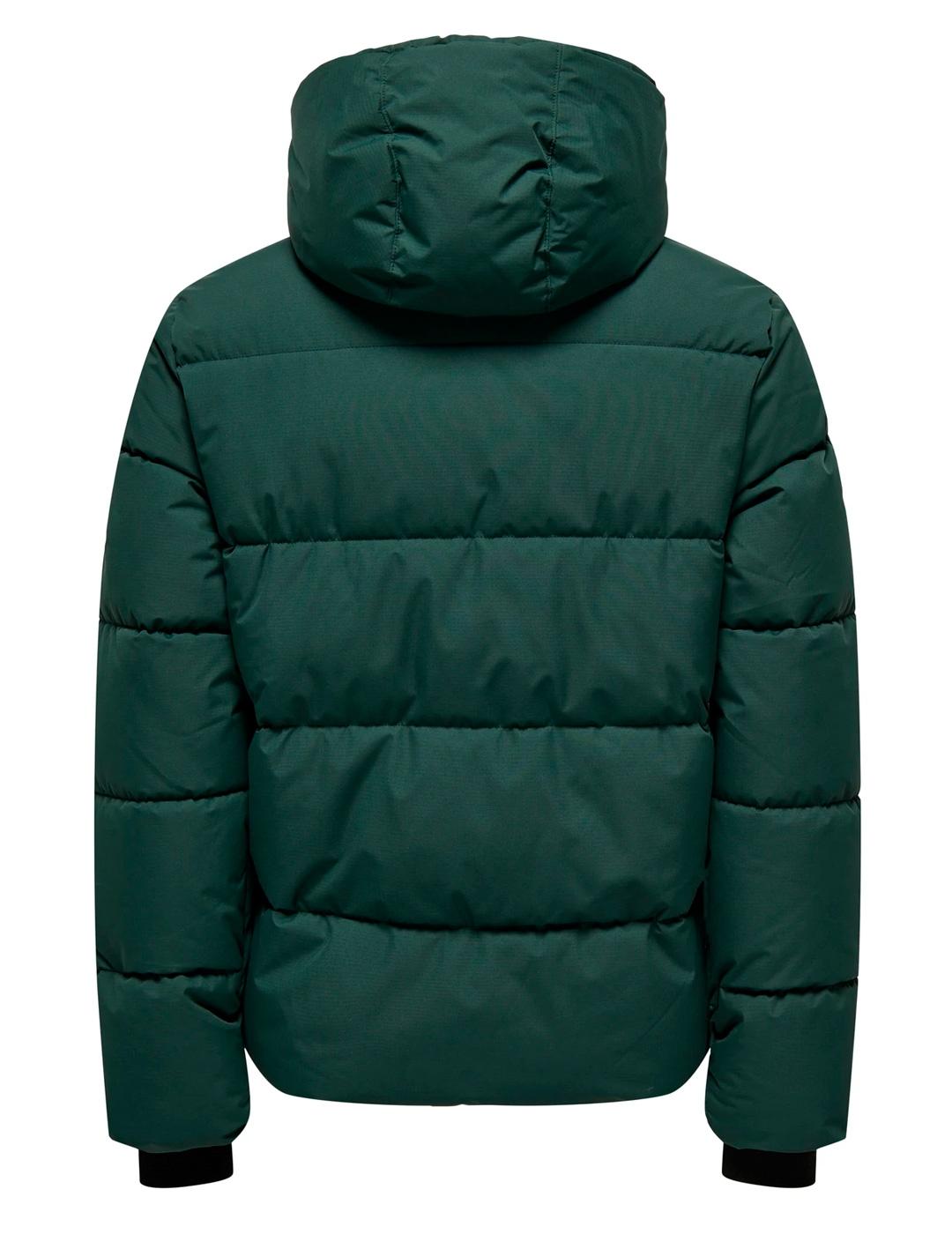 Chaqueta Only & Sons ELIJAH verde para hombre